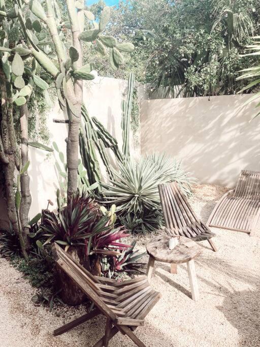 Hotel Boutique Kaa Merida Ngoại thất bức ảnh