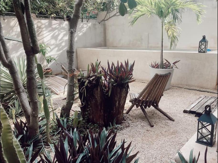 Hotel Boutique Kaa Merida Ngoại thất bức ảnh