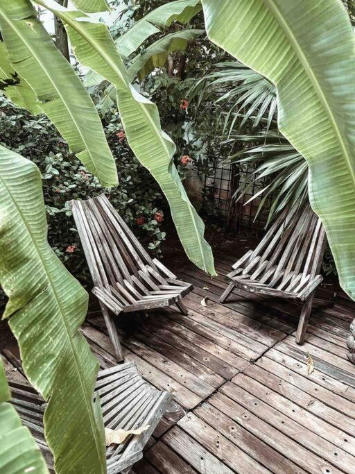 Hotel Boutique Kaa Merida Ngoại thất bức ảnh