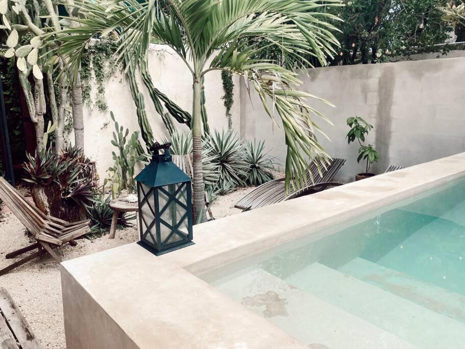 Hotel Boutique Kaa Merida Ngoại thất bức ảnh