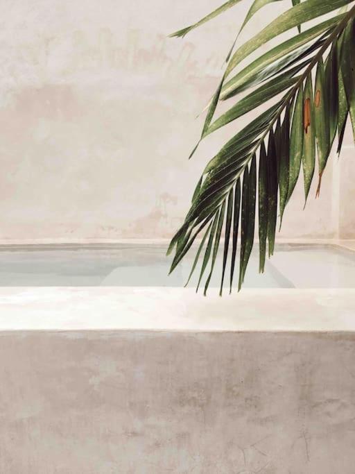 Hotel Boutique Kaa Merida Ngoại thất bức ảnh