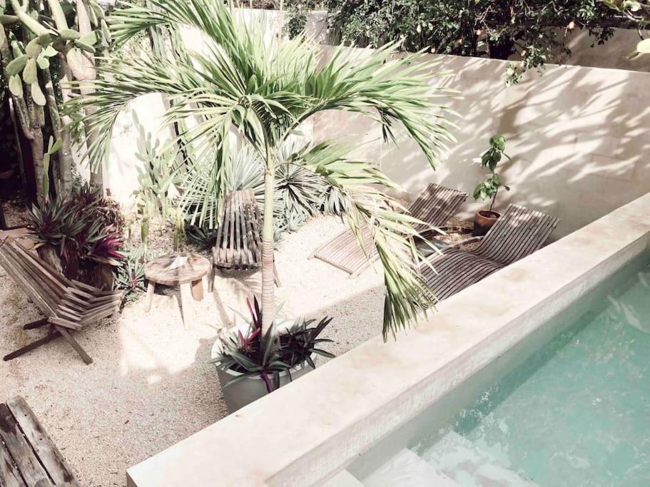 Hotel Boutique Kaa Merida Ngoại thất bức ảnh